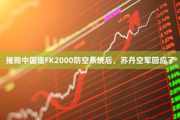摧毁中国造FK2000防空系统后，苏丹空军回应了