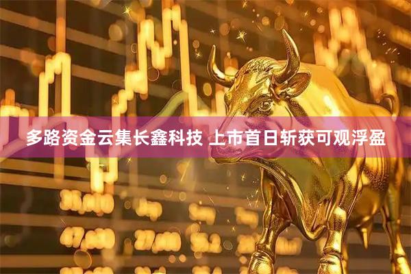 多路资金云集长鑫科技 上市首日斩获可观浮盈
